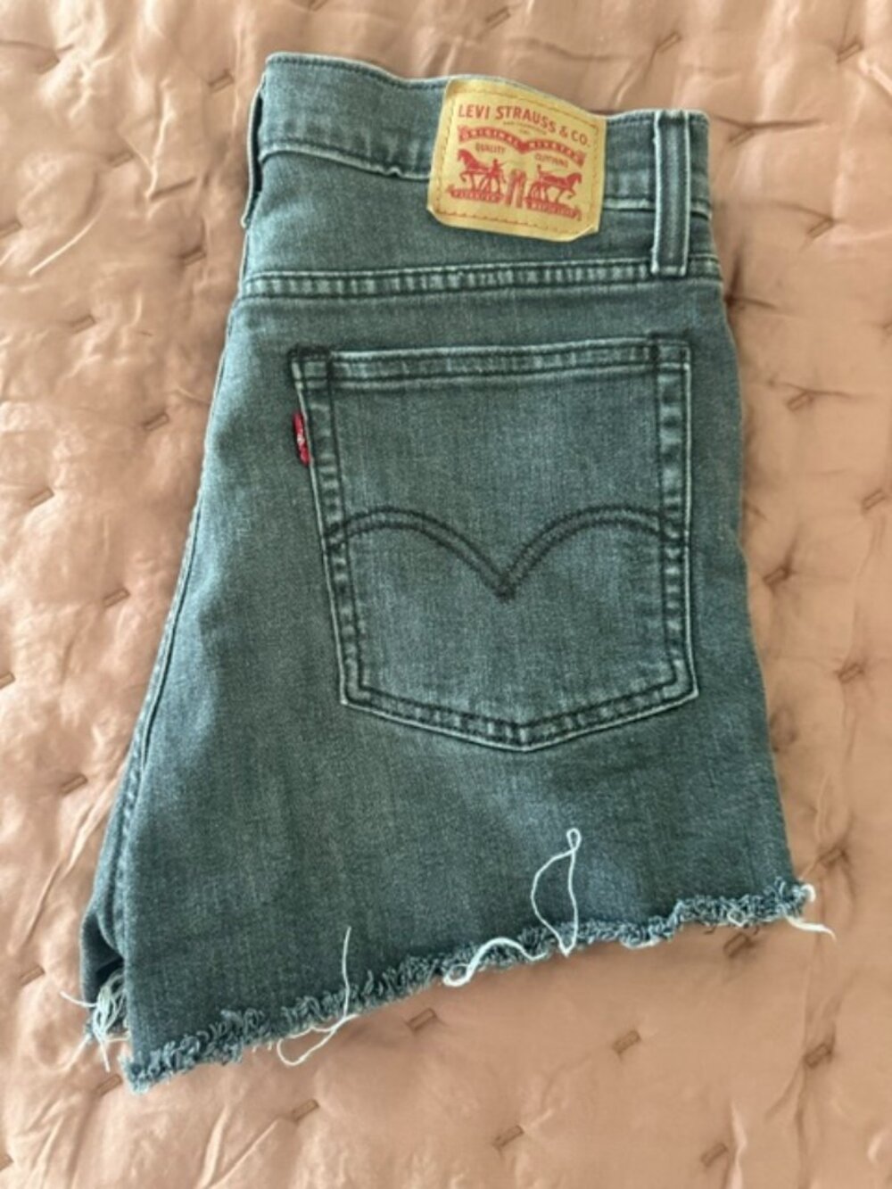 Levis High Waist Black Gray Frayed Jean Denim Shorts Size 30